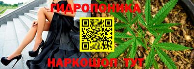 спайс Донской