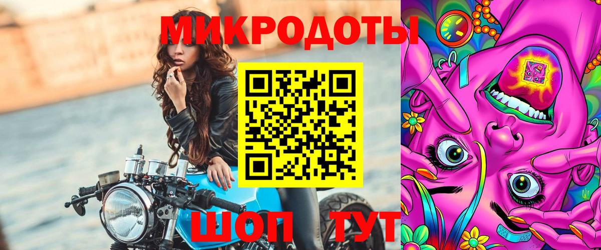Псилоцибиновые грибы Psilocybe Майский